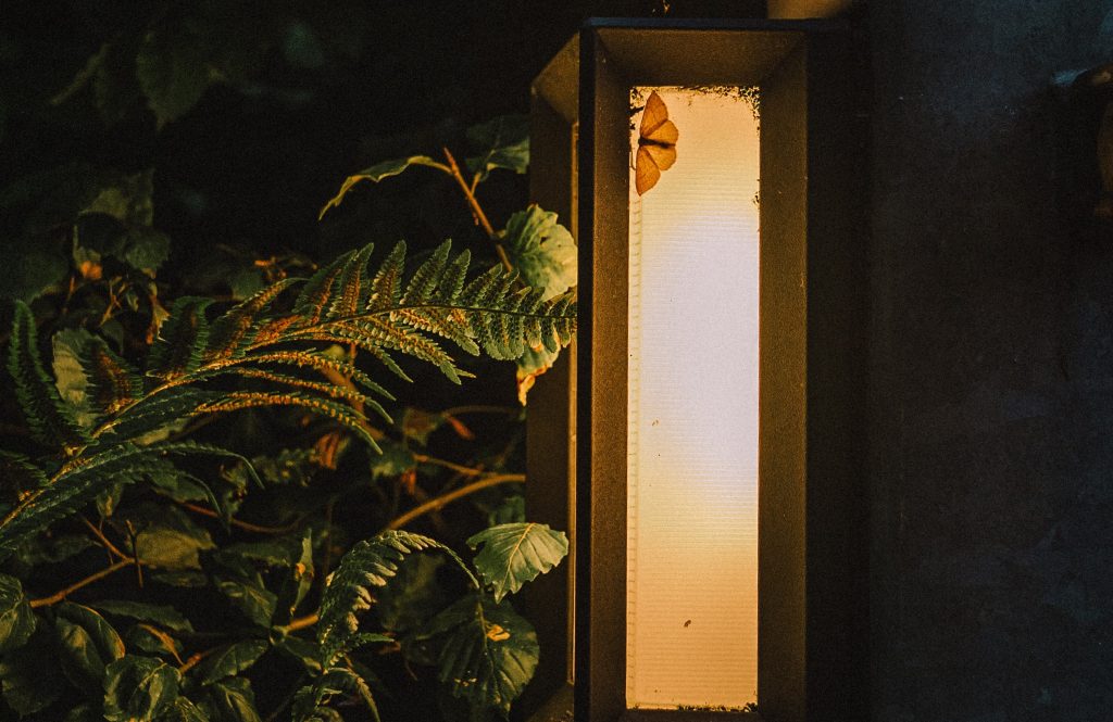 High and super resolution night images noctosat